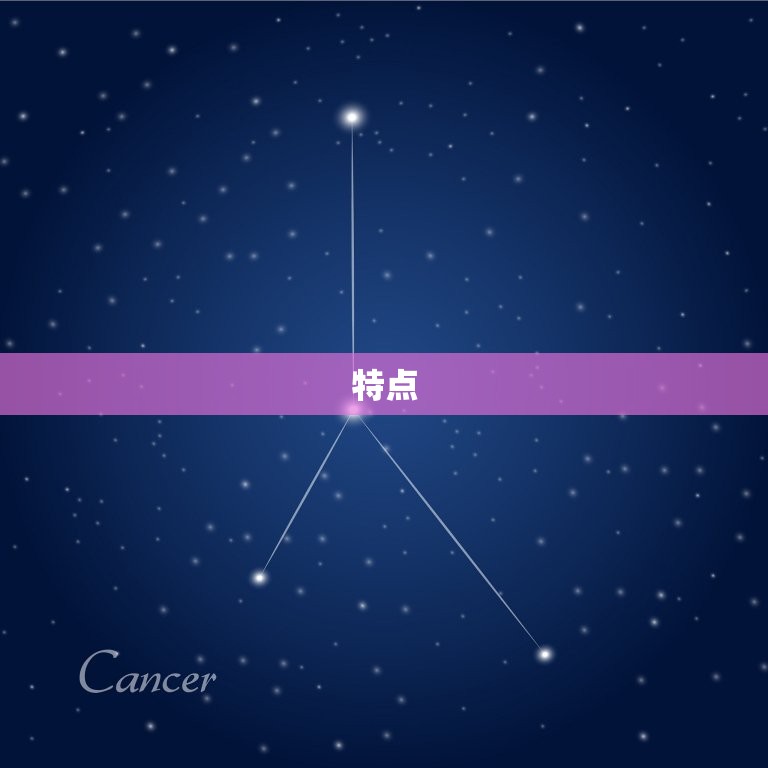 太阳摩羯座上升双子座(双重性格的挑战与机遇)  第1张