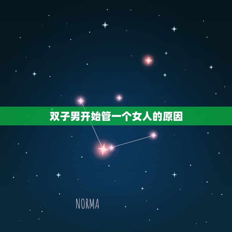 双子男开始管一个女人(如何处理这种情况)  第2张