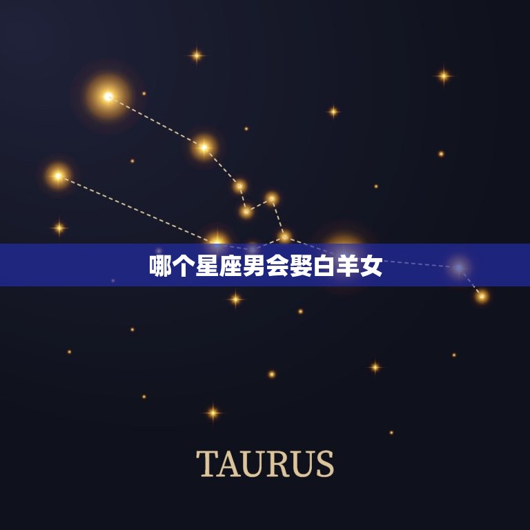 哪个星座男会娶白羊女(星座匹配介绍)  第3张