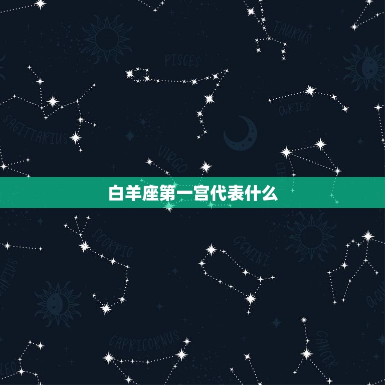 白羊座宫代表什么(介绍白羊座的个性特征)  第3张