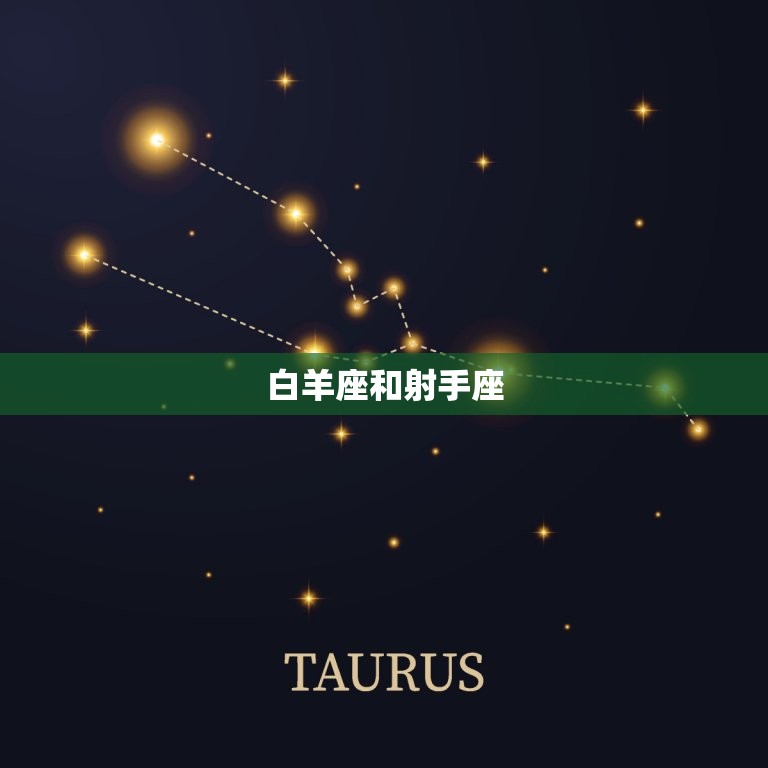 白羊座和哪个星座(星座匹配大介绍)  第2张
