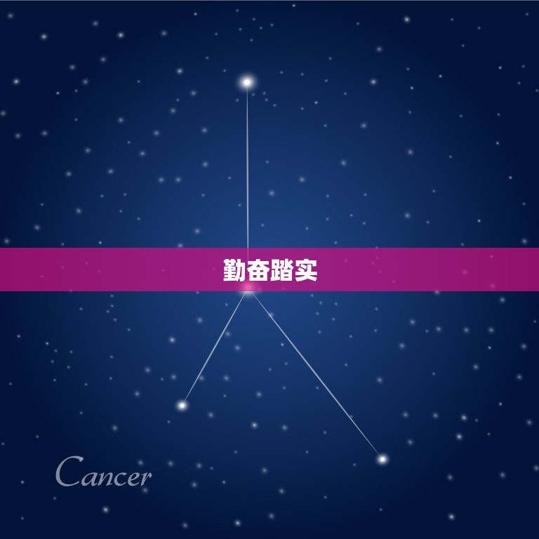 摩羯座的性格十大特点(冷静沉着勤奋踏实目标谨慎稳健)  第2张