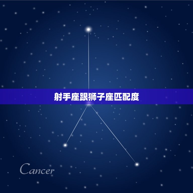 射手座跟狮子座匹配度(星座配对分析)  第3张