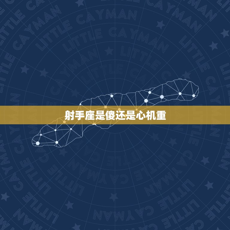 射手座是傻还是心机重(介绍星座)  第3张