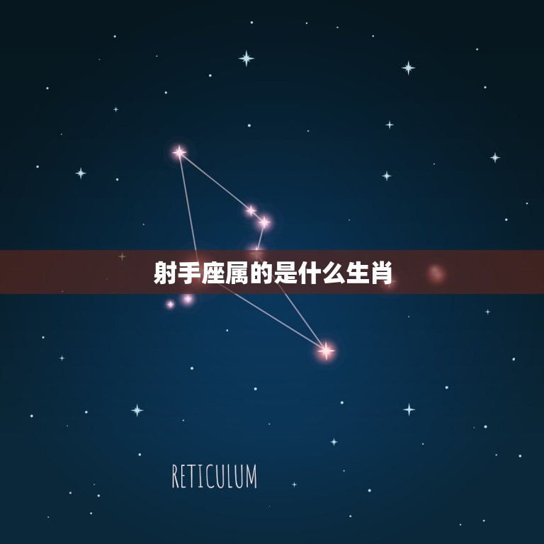 射手座属的是什么生肖(解密射手座的生肖属性)  第3张
