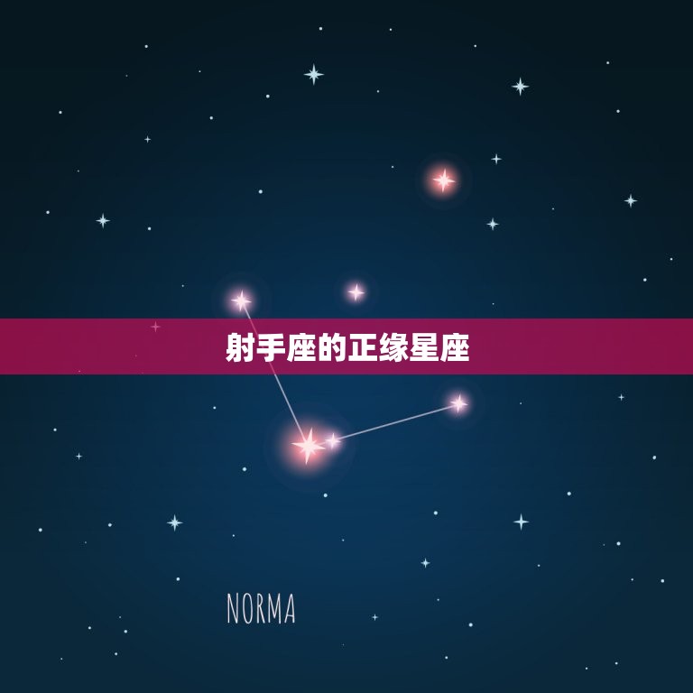 射手的正缘星座是什么(介绍射手座配对)  第2张