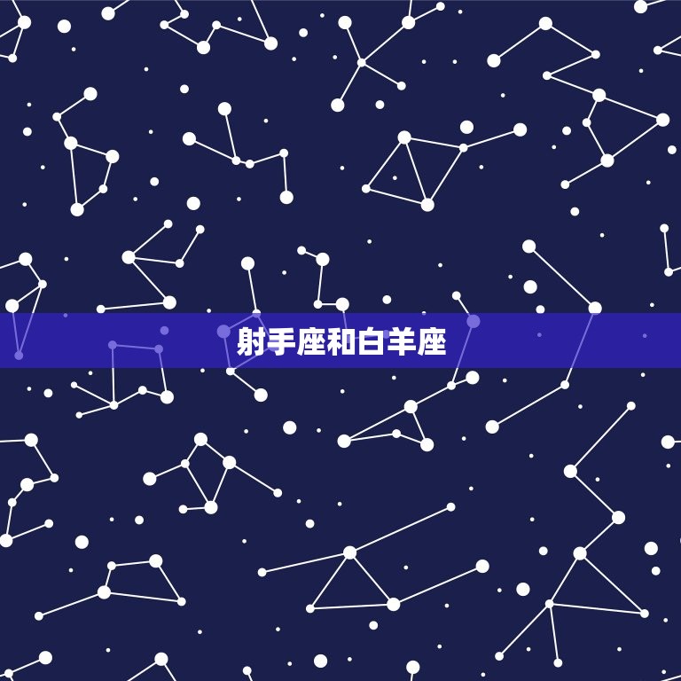 射手座能降住哪个星座(星座配对大介绍)  第1张