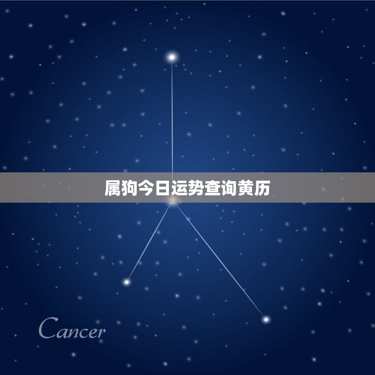 属狗今日运势查询黄历(掌握运势开启幸福之门)  第3张