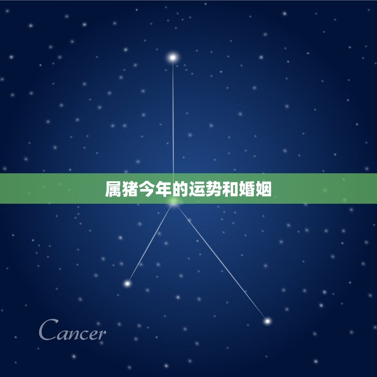 属猪今年的运势和婚姻(如何)  第3张