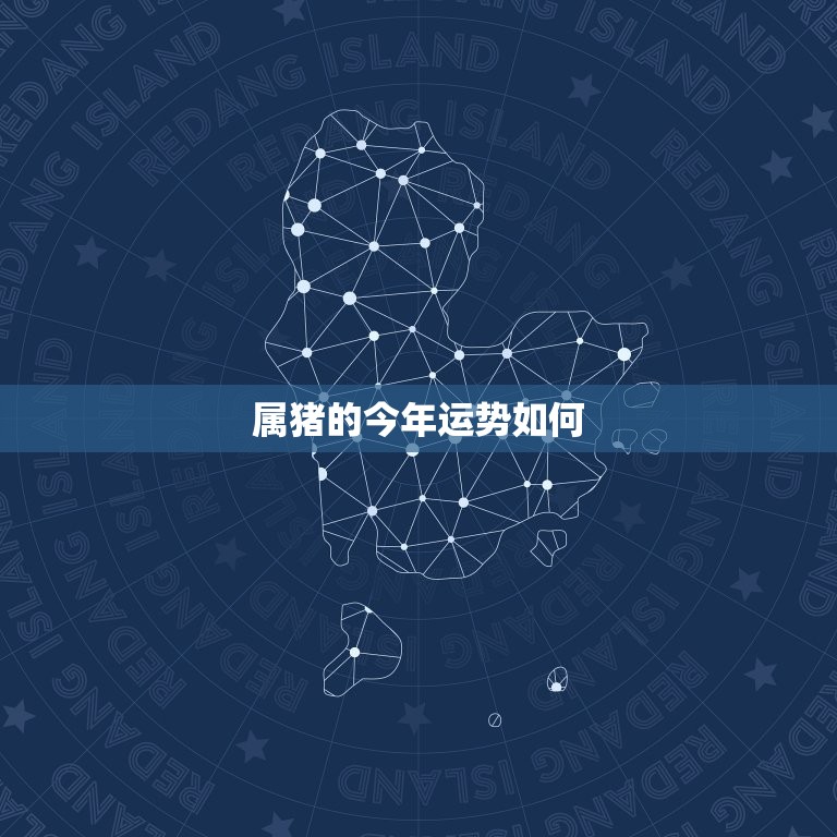 属猪的今年多大岁数啦(猪年生肖运势大介绍)  第2张