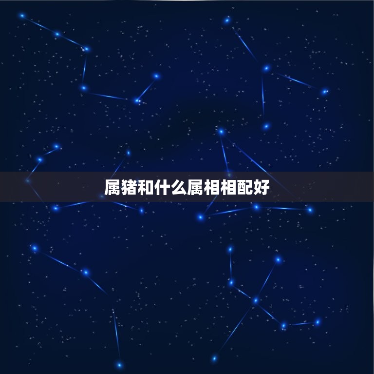 属猪和什么属相相配好(配对指南)  第3张