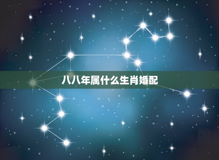 八八年属什么生肖婚配(如何选择婚姻伴侣)  第3张