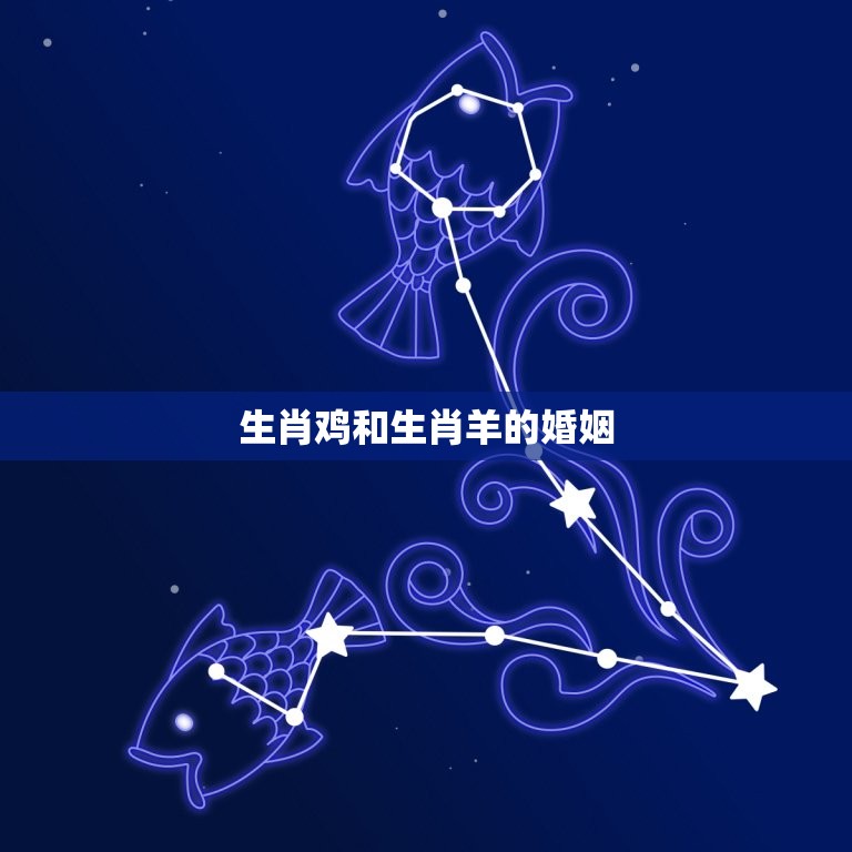 生肖鸡和生肖羊的婚姻(是否会有美结局)  第3张