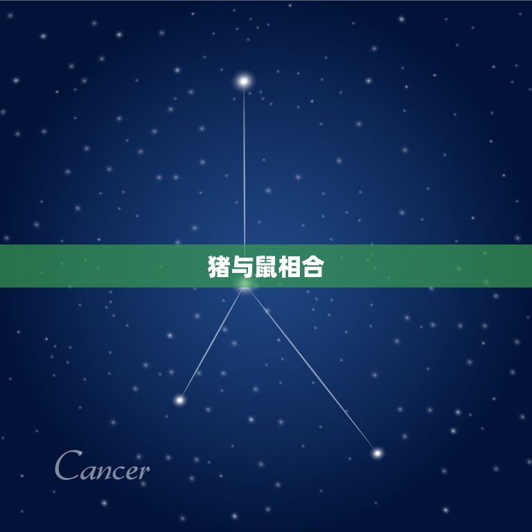 生辰八字猪跟什么相合(介绍猪与哪些生肖最配)  第1张