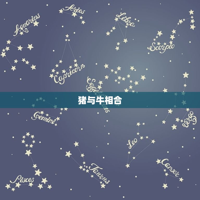 生辰八字猪跟什么相合(介绍猪与哪些生肖最配)  第2张