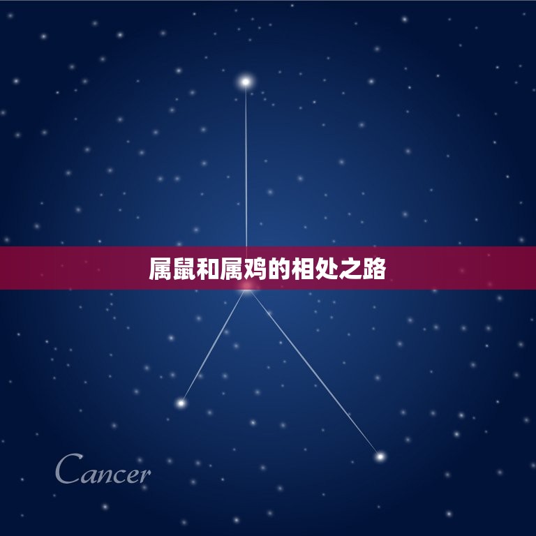 属鼠的和属鸡的相配吗(十二生肖中最不靠谱的组合)  第2张