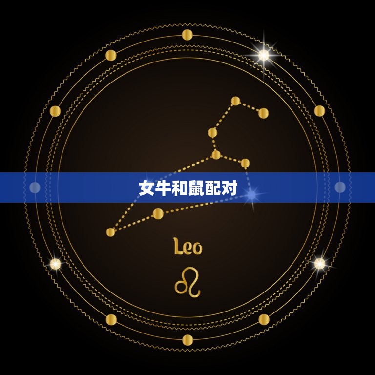 女牛肖和什么生肖最配(十二生肖配对大介绍)