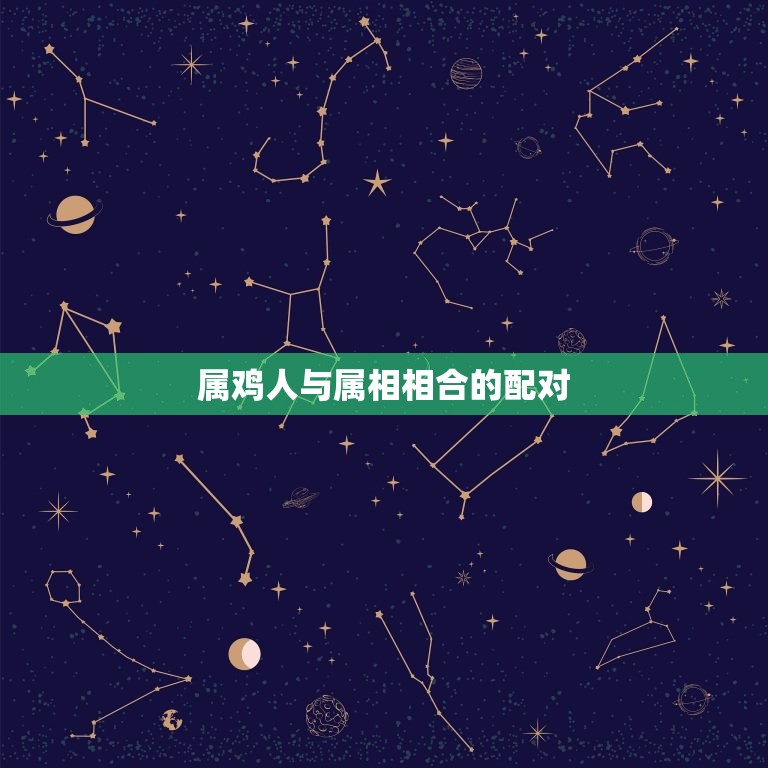 属鸡人与哪些属相相合(配对让你爱情事业两得意)  第2张