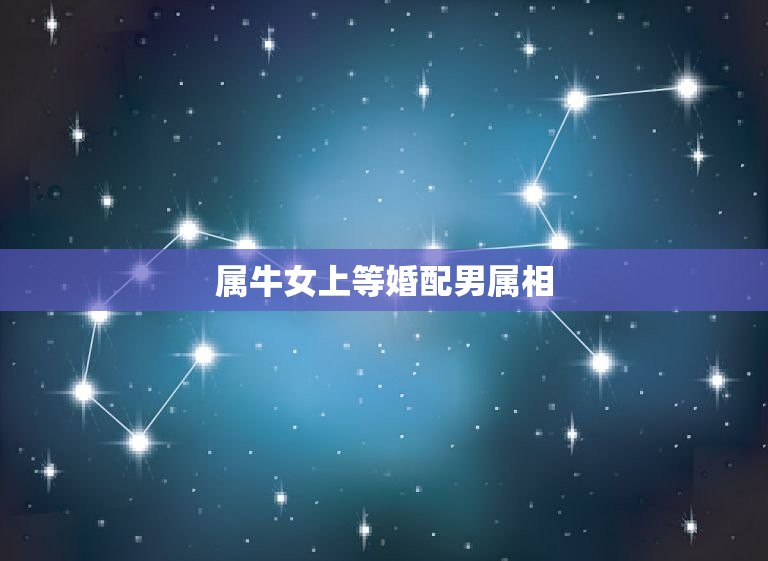 属牛女上等婚配男属相(婚配指南)  第3张