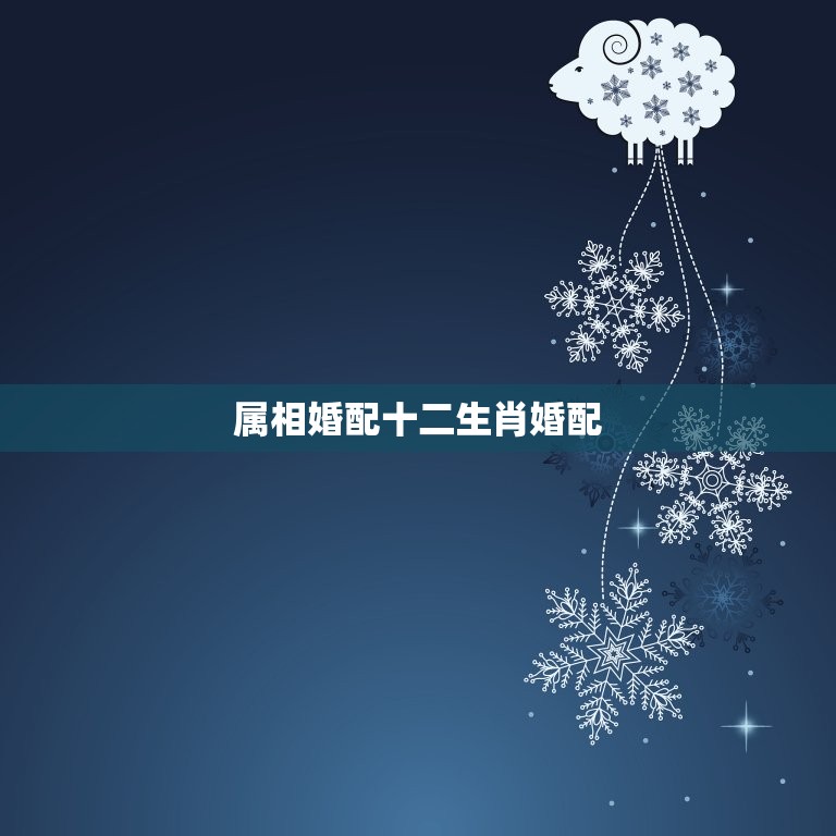 属相婚配十二生肖婚配(如何选择婚姻伴侣)  第3张