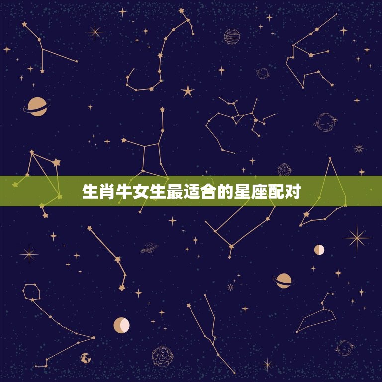 生肖牛女生和什么最配(星座大介绍你不可错过)  第2张
