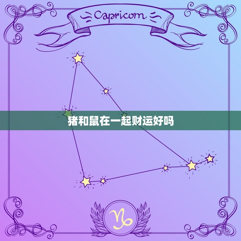 猪和鼠在一起财运好吗(介绍生肖属猪和属鼠的财运奥秘)  第3张