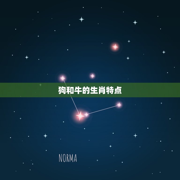 狗和牛属相合不合结婚(十二生肖中的禁忌婚姻)