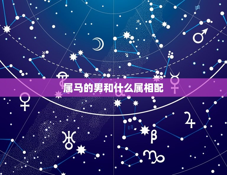 属马的男和什么属相配(配对指南)  第3张