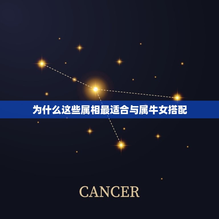 属牛女跟什么属相合适(寻找配对)  第2张
