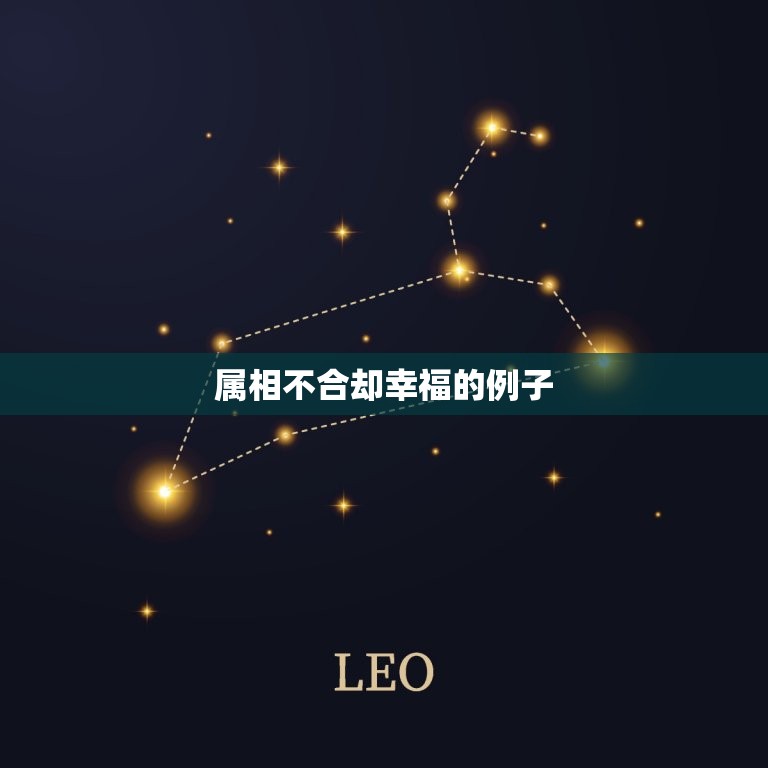 属相不合却幸福的例子(他们的爱情不受属相束缚)  第3张