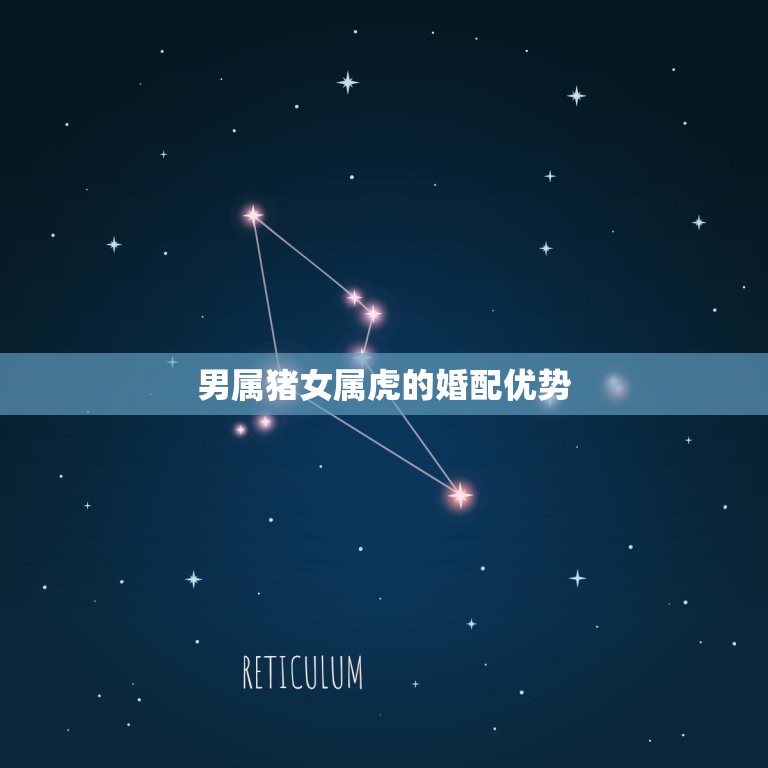 男属猪女属虎婚配好吗(介绍星座配对大介绍)  第2张