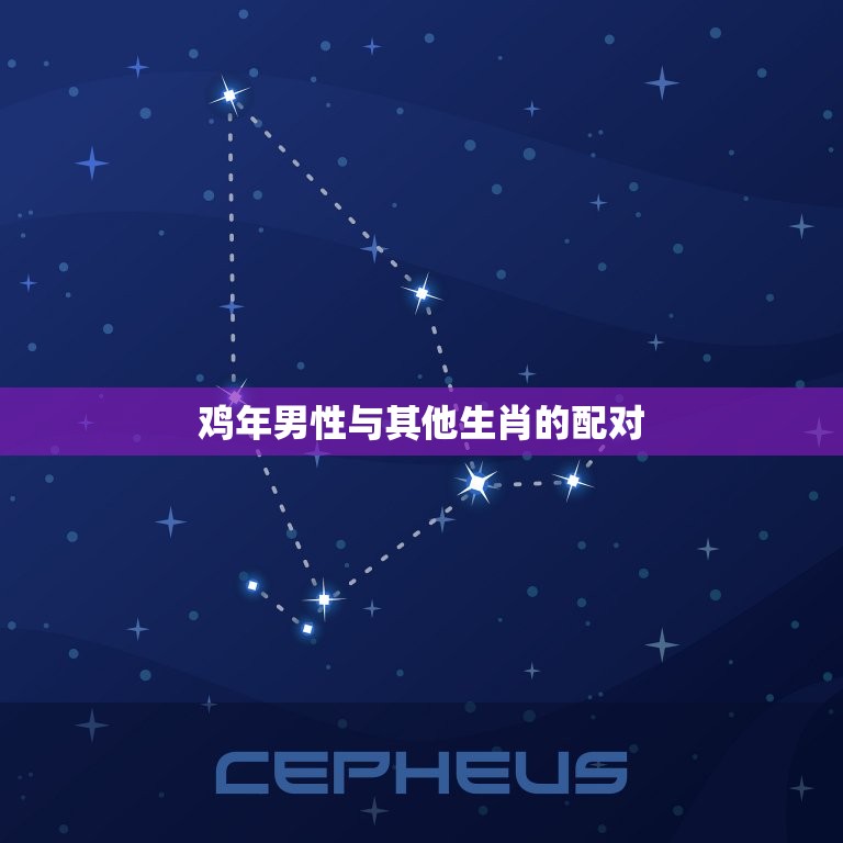 双方属鸡适合结婚吗男(介绍婚姻中的鸡年男性)  第2张