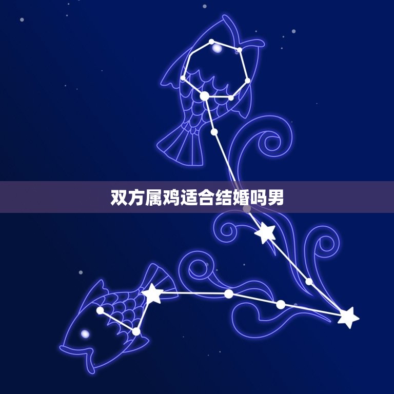 双方属鸡适合结婚吗男(介绍婚姻中的鸡年男性)  第3张