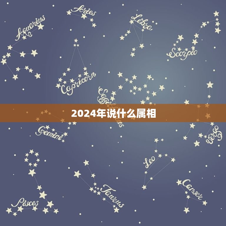 2024年说什么属相(猴转龙五行属水预示着什么)  第3张