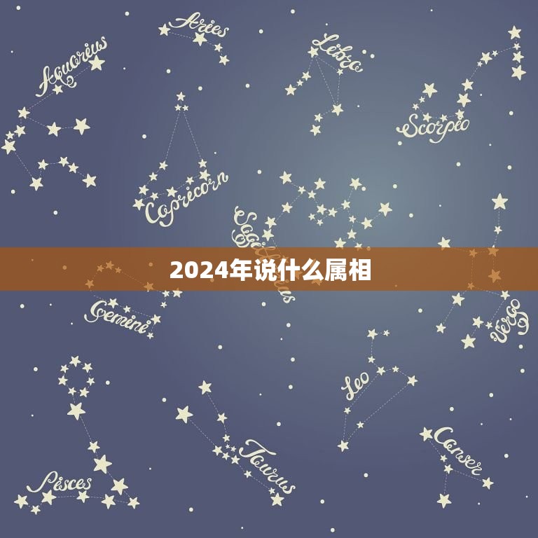 2024年说什么属相