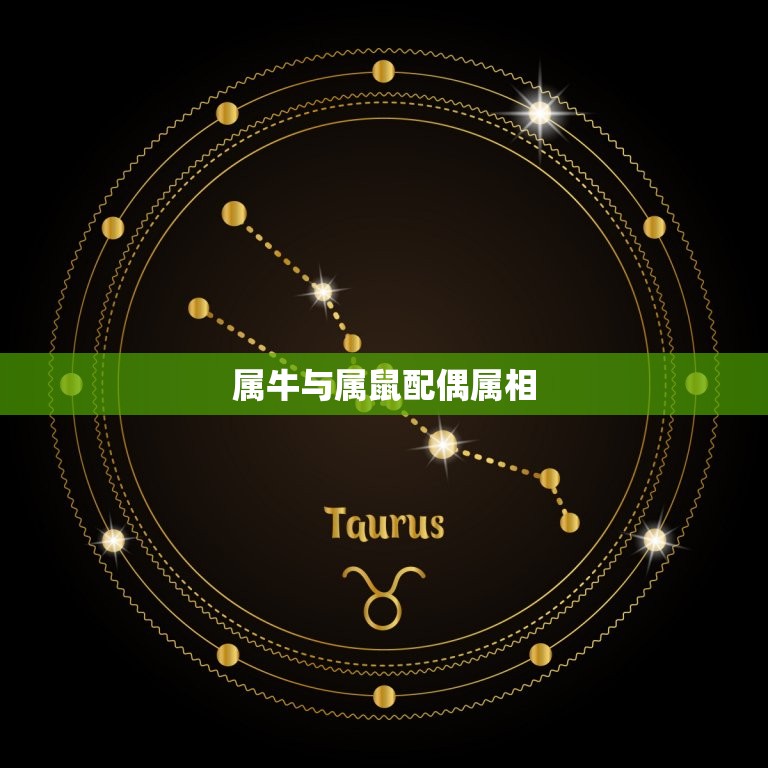 属牛生肖配偶属相(介绍与哪些生肖最般配)  第1张