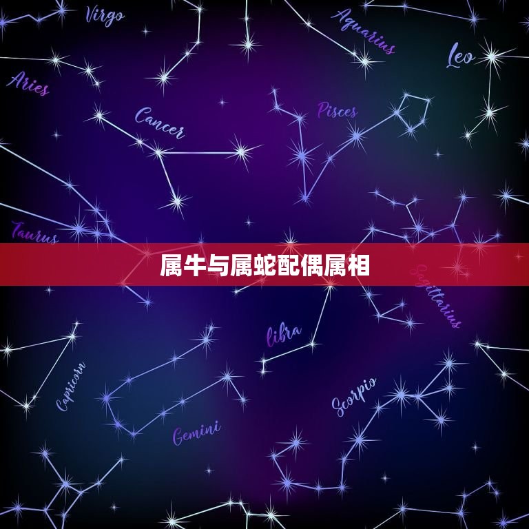 属牛生肖配偶属相(介绍与哪些生肖最般配)  第2张