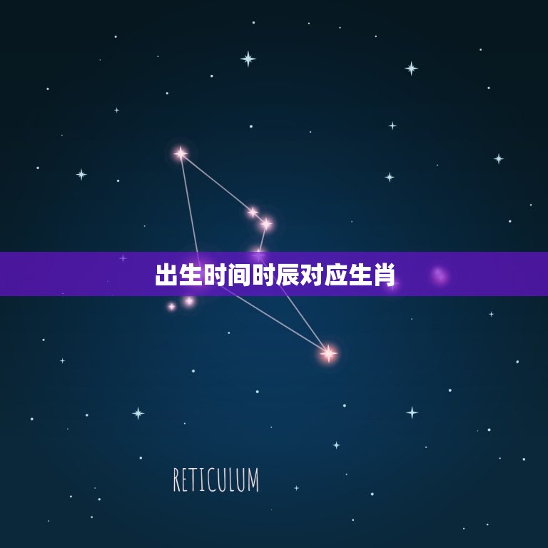 出生时间时辰对应生肖(介绍十二生肖的奥秘)  第3张