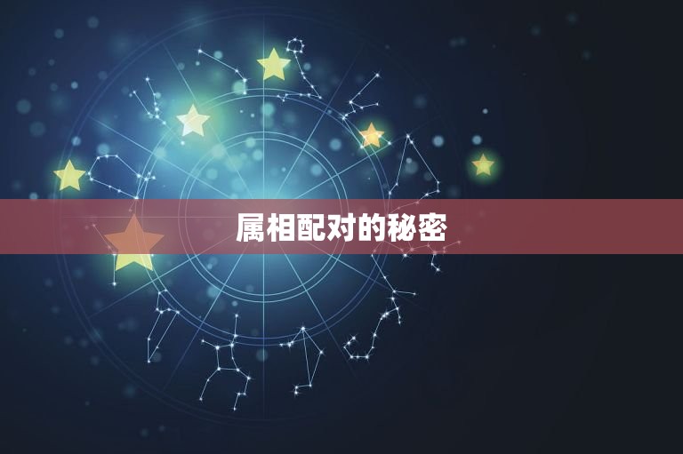 同一属相的人结婚好吗(星座学家介绍属相配对的秘密)  第2张