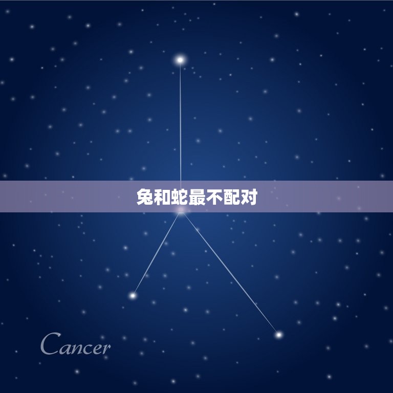兔和蛇最不配对(为什么这两个属相不合适)  第3张