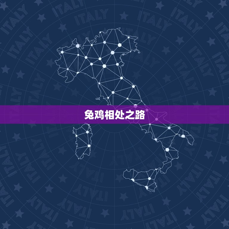 十二生肖兔和鸡配不配(兔鸡相处之路)  第2张