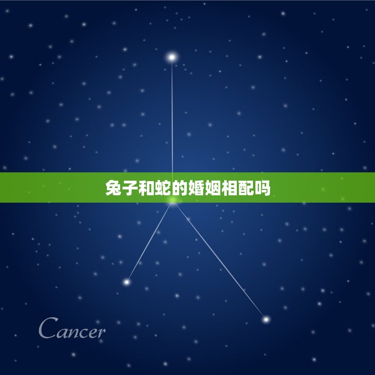 兔子和蛇的婚姻相配吗(讨论两种性格的碰撞)  第3张