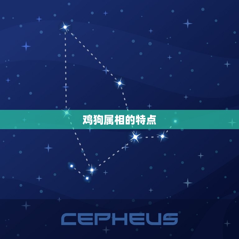 鸡狗属相合不合财运呢(财运合拍还是不和谐)  第1张