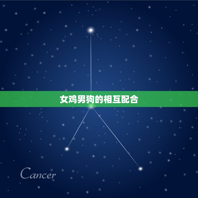 女鸡男狗婚姻能到头吗(介绍星座配对的)  第2张