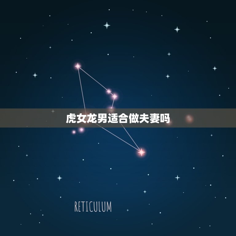 虎女龙男适合做夫妻吗(讨论星座配对的)  第3张