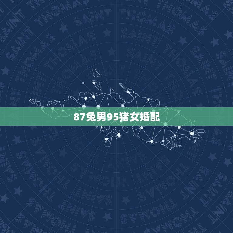 87兔男95猪女婚配(匹配爱情与命运的奇妙交织)  第3张