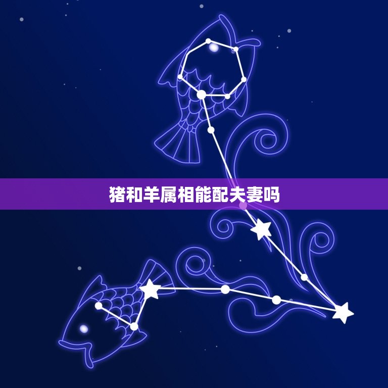 猪和羊属相能配夫妻吗(星座配对大介绍)  第3张