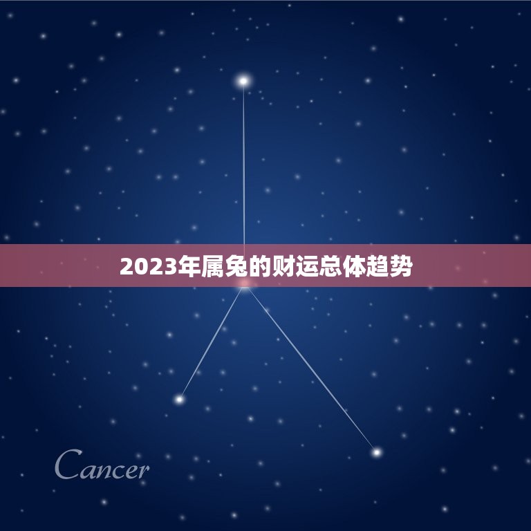 属兔今年财运在哪个位(2023年财运大介绍)  第1张