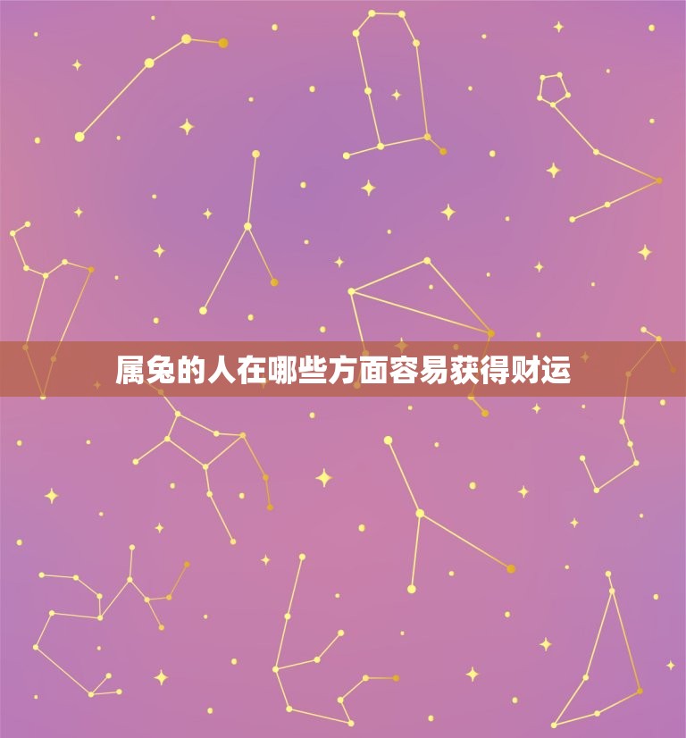 属兔今年财运在哪个位(2023年财运大介绍)  第2张