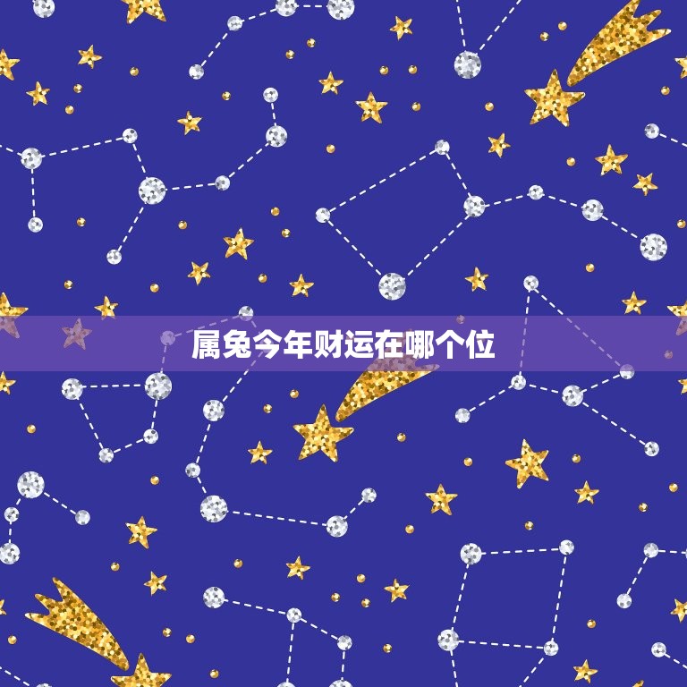 属兔今年财运在哪个位(2023年财运大介绍)  第3张